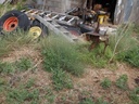 DSCF9357.JPG