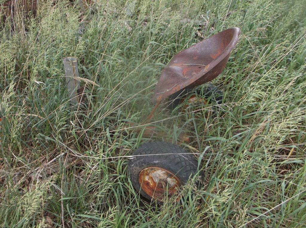 DSCF9352.JPG