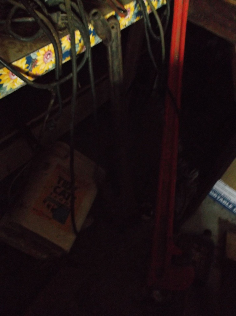 DSCF9391.JPG