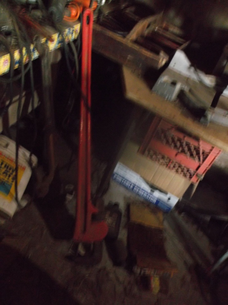 DSCF9387.JPG