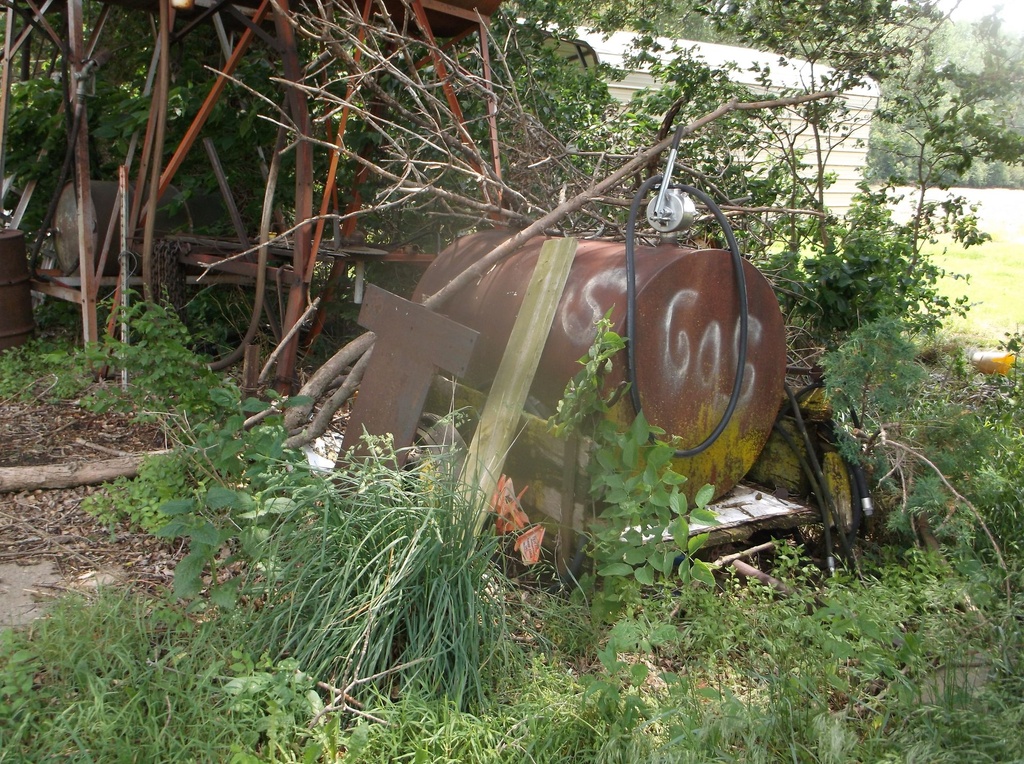 DSCF9417.JPG