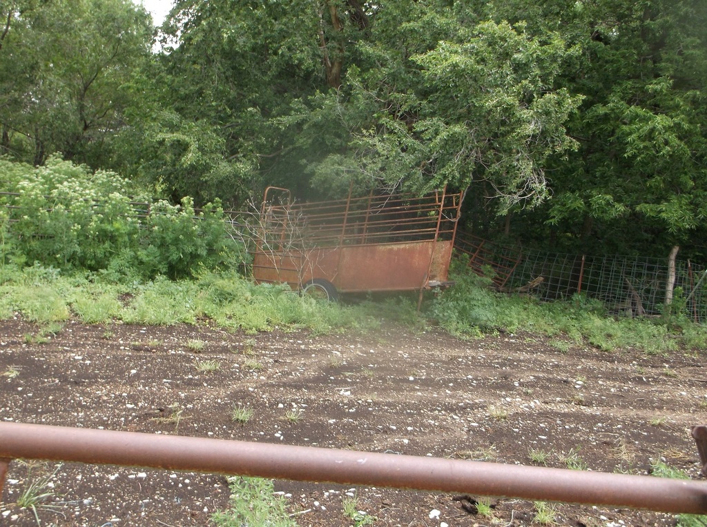 DSCF9410.JPG