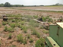 DSCF9460.JPG