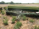 DSCF9455.JPG