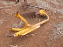 DSCF9469.JPG